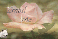 Email If You Wish