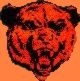 Bear102.jpg (7941 bytes)