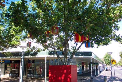 Maude Street Mall Trees