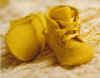 shoes.jpg (28260 bytes)