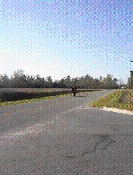 Wheelie Boy 2002