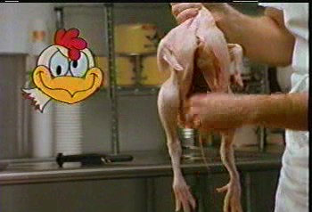Cluckin' chicken