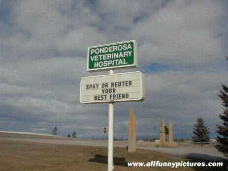 Subliminal Message: Neuter Orion