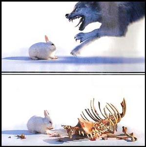Bun-bun The Brutal