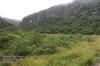 Carretera en Federal M�xico - Laredo  En la Sierra de Cucharas 