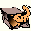 I'm chasing the bag mouse (See Rules for Cats) 