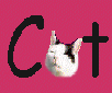 Click here to go The Catbasket
