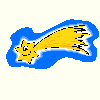 The Comet Cat