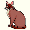 A slim pose for an overweight cat
