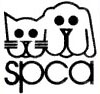 Click here to go to SPCA Malaysia's site