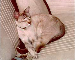Photo courtesy of Mandy Hall and Sebastian