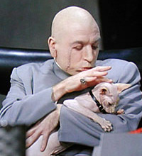 A face only Dr. Evil can love! Photo courtesy of j_orda_n@yahoo.com
