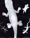 Shadow Lizards