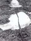 Dead Snowman