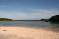 iriomote image