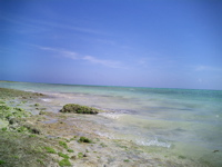 taketomi image