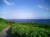 Ishigaki2