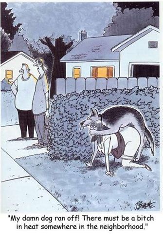 Has this ever happened to your girlfriend or dog?