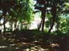 Finca de San Javier