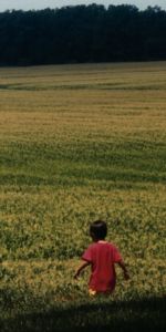 Sebastian and corn field