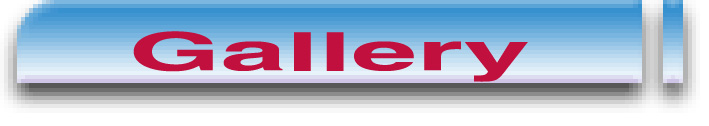 Image gallery