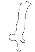 spin handstand