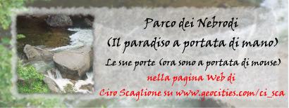 Il Paradiso