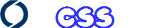 CSS