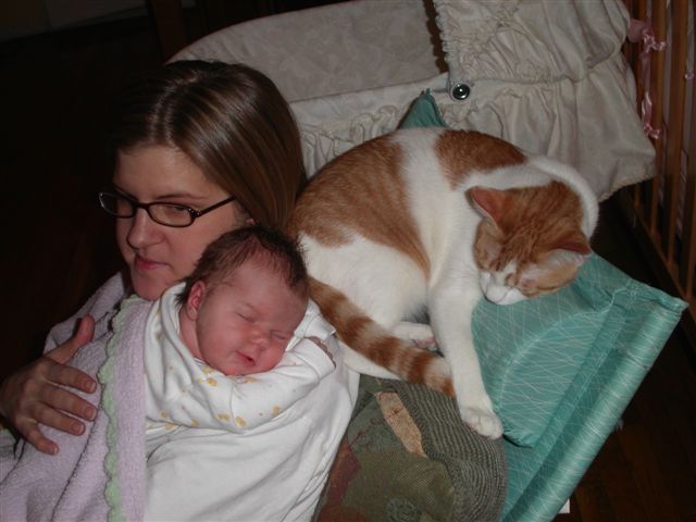 Ginger is happy to be part of this new family