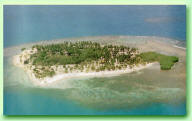 CAYO MUERTO