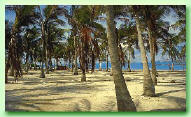CAYO SAL