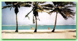 CAYO SOMBRERO
