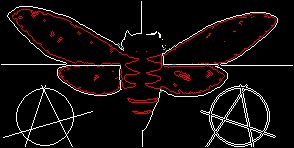 ::cicada_bugg@yahoo.com::