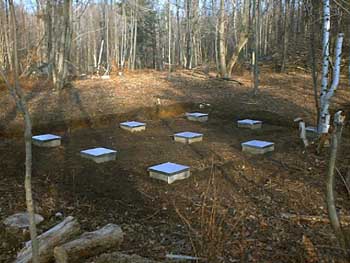 PDC_0004.jpg