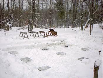 PDC_0005.jpg