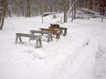 PDC_0006.jpg