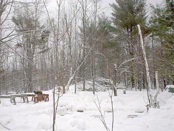 PDC_0007.jpg