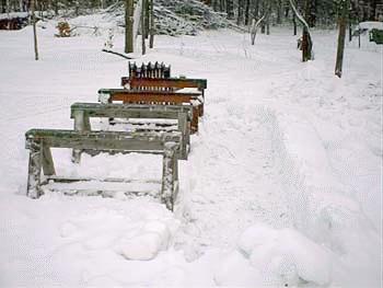 PDC_0008.jpg