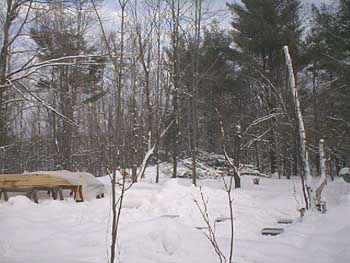 PDC_0013.jpg