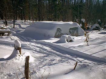 PDC_0040.jpg