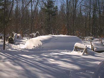 PDC_0041.jpg