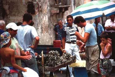 Immagini di vita della citta' di Taranto