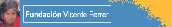 logovicentef.jpg (1592 bytes)