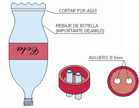 artemia3.jpg (28810 bytes)