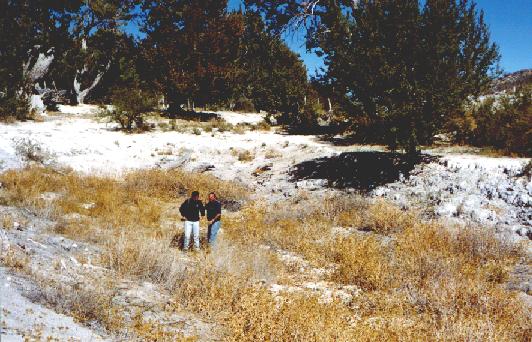 mxsandia.jpg (57016 bytes)