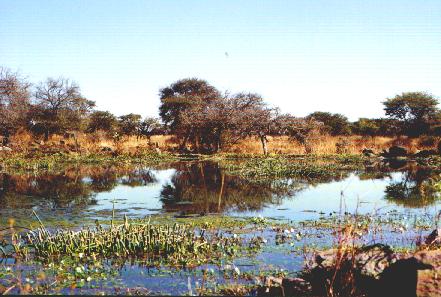 mxtoboso.jpg (36160 bytes)