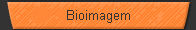 Bioimagem