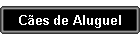 C�es de Aluguel