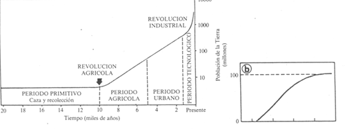 fig2a.gif (17454 bytes)