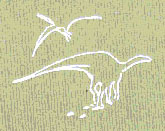 congreso-dino1.jpg (15663 bytes)
